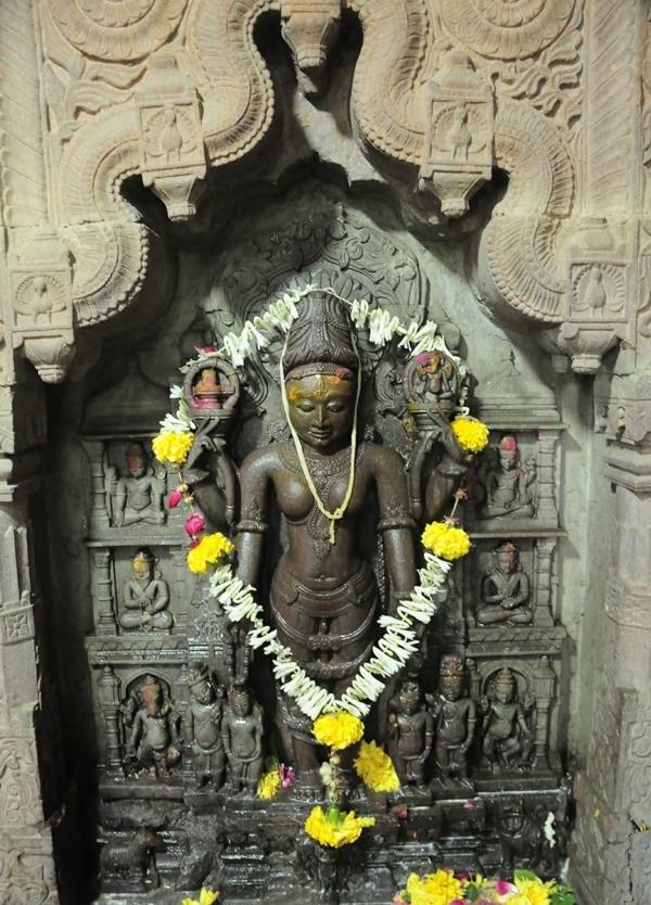 naidunia_image
